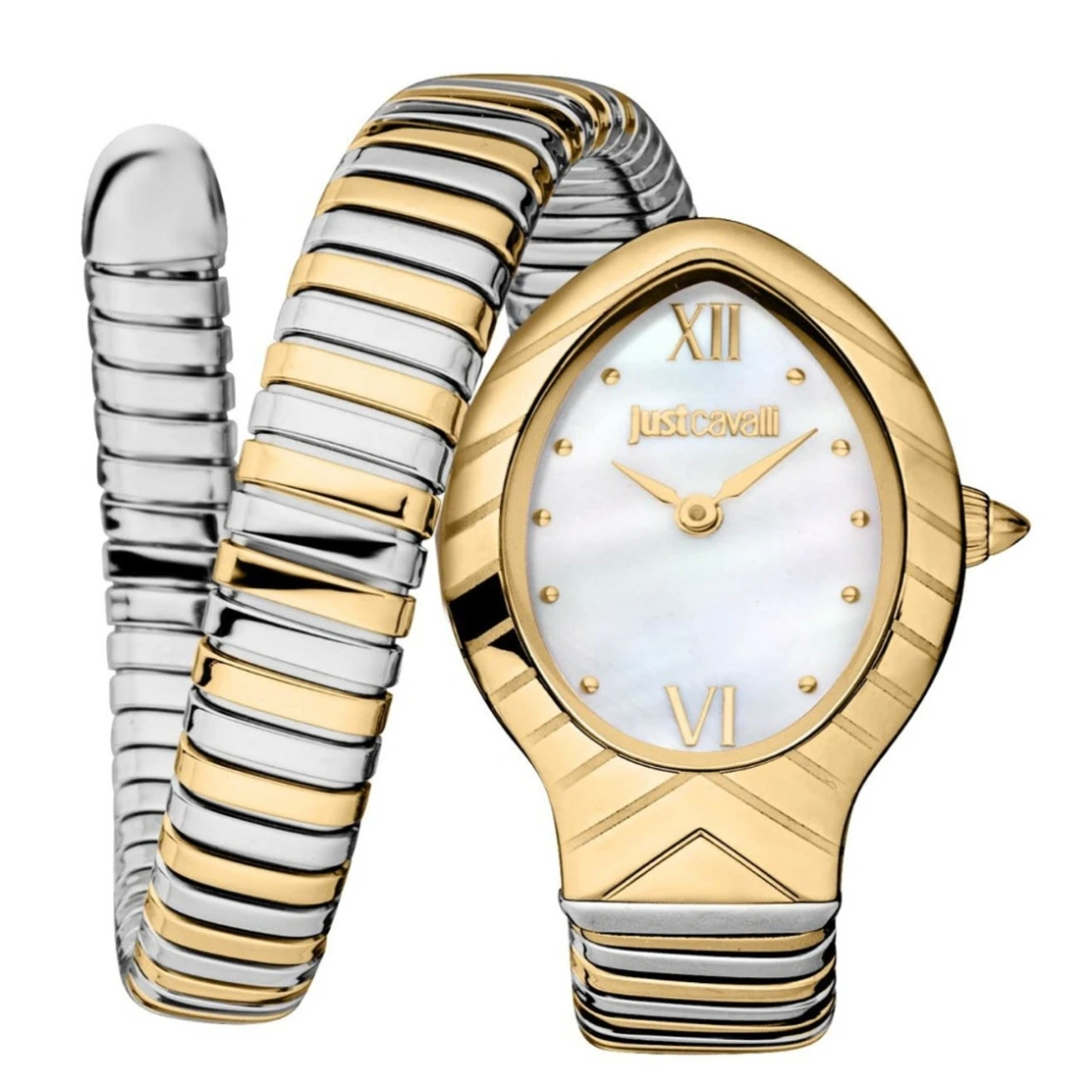Just Cavalli Classico Corto Watch for Women (JC1L247M0055)