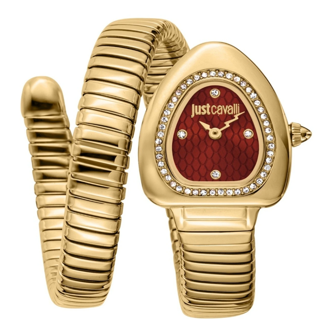 Just Cavalli Analog Watch for Women (JC1L249M0025)