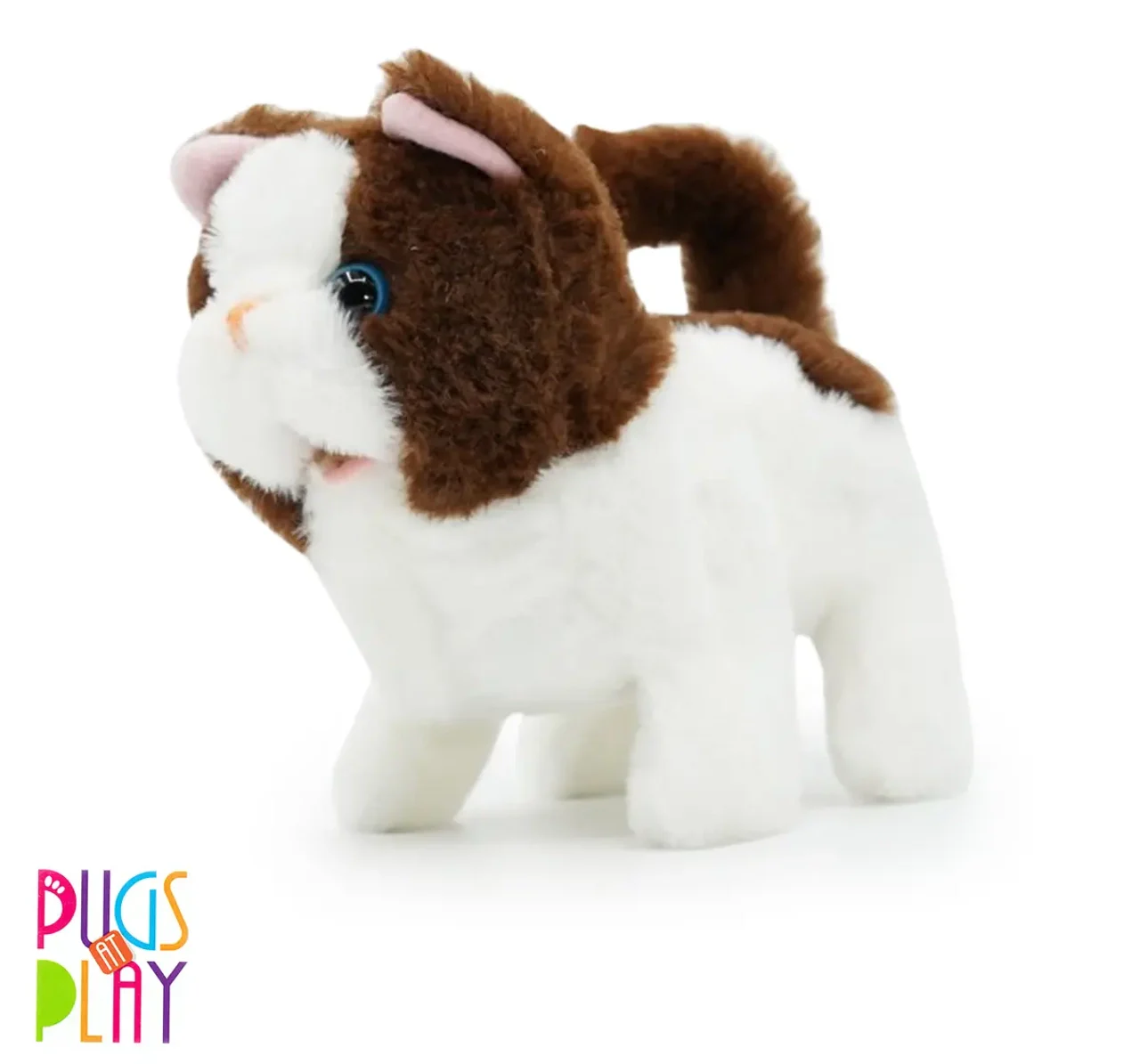 E FB BELLA WALKING CAT