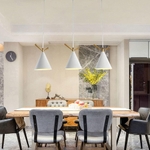 Cone Pendant Hanging Lights, Ceiling Lights for Living Room, Hanging Lights for Restaurants, and Dining Lights (Warm White, Pack of 2)