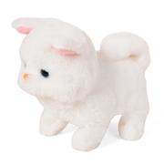 product image - slider