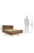 NEUDOT Paris Queen Engineered Wood Queen Box Bed - Leon Teak