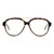 Full Rim Acetate Aviator Brown Male Large Unofficial UNOM0192 Eyeglasses