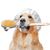 Pet Spa - Large Breed