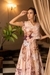 Butterfly Printed Western Gown