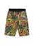 Multicolor Printed Standard Fit Active Shorts