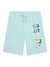 Aqua Self Design Shorts
