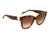 Guess Women Acetate Full Rim Shiny Brown Demi Butterfly Sunglasses