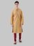 Ethnix by Raymond Gold Kurta