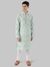 Ethnix by Raymond Green Kurta