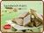Sandwich Katli (Jay Hind, Ahmedabad)