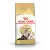 Royal Canin Persian Adult Dry Cat Food