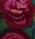 ROSE GREEN PINK
