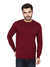 Albion Mens Winter Mehroon Pullover