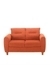 NEUDOT Scott Sofa for Living Room |2 Persons Sofa|Premium Fabric with Cushioned Armrest | 3 Years Warranty|Solid Wood Frame|2 Seater in Rusty Cider Color