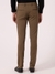 Albion Mens Brown Casual Pant