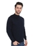 Albion Mens Pullover