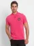 Being Human Slim Fit Men Polo Neck T-Shirts-Raspberry