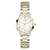 Dawn 2-Tone Stainless Steel Analog Watch