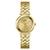 Rumour Gold Tone Stainless Steel Analog Watch