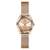 Mini Luna Rose Gold Tone Steel Mesh Analog Watch