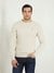 Men Ivory Solid Round Neck Full Sleeves Pullover Style Sweater