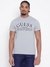 Men Grey Printed Round Neck T-shirt