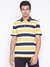 Multicolor Striped Short Sleeve Polo T-Shirt
