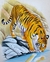 Realistic Tiger Miniature Painting