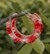 Rasbhari Pankh Hoops