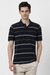 Men Navy Stripe Polo Neck T-shirt