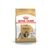 Royal Canin Shih Tzu Adult Dry Dog Food