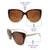 Brown Cat Eye Sunglasses 41447P