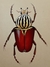 Realistic insects Painting On Antique card