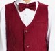 Ed-A-Mamma Boys Sustainable Shirt, Pant And Waist Coat Partywear Set - Burgundy