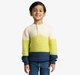 Boys Colorblock Sweater