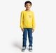 Boys Crew Neck Printed Sweatshirt