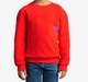 Boys Pique Printed Sweatshirt