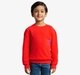 Boys Pique Printed Sweatshirt