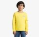 Boys Ottoman Full Sleeves Printed T-Shirt