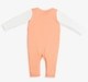 Baby Unisex Printed Rompers (Pack Of 2)