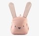 Shaped Bag - Rabbit