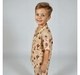 Boys Printed Shirt & Shorts Clothing Set Rust