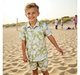 Boys Shirt & Shorts Clothing Sets Green