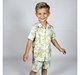 Boys Shirt & Shorts Clothing Sets Green