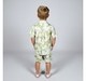 Boys Shirt & Shorts Clothing Sets Green