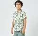 Boys half sleeves shirt Olive