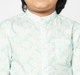 Boys half sleeves shirt Green