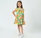 Girl  Printed Dress multicolour