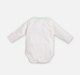 Infant Unisex Graphic Print Long Sleeves Bodysuits
